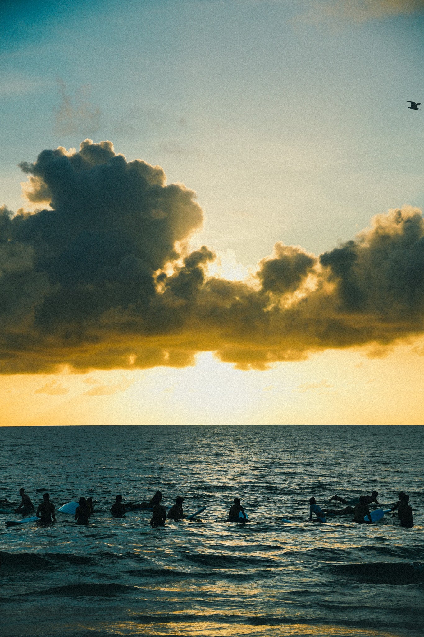 Nov 22nd Surf Club Ticket